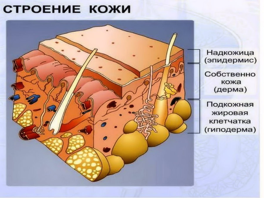 Холодовой дерматит